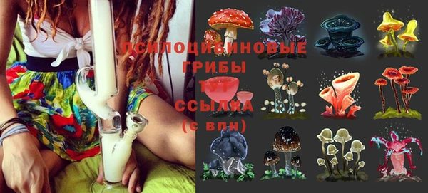 амф Нязепетровск