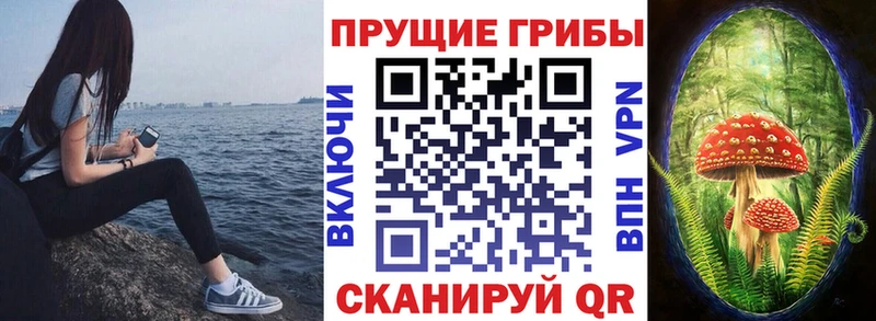 KRAKEN сайт  Южно-Сухокумск  Псилоцибиновые грибы мицелий 